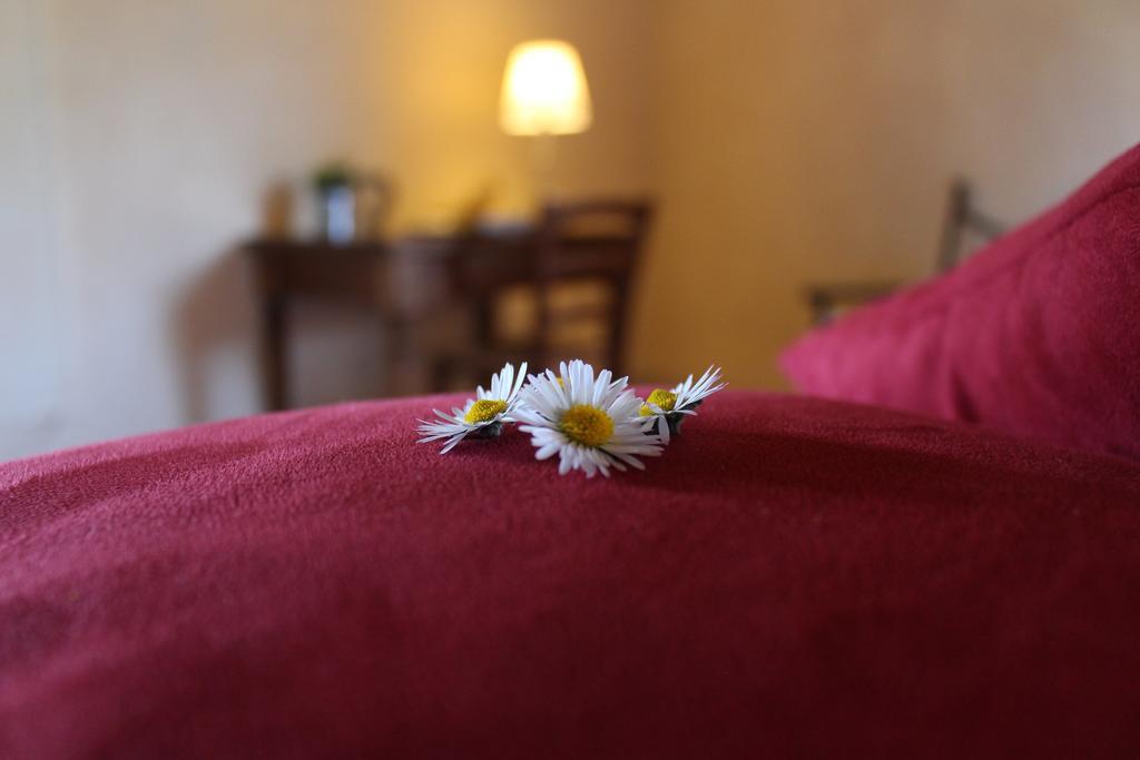 Agriturismo Casavecchia Figline Valdarno Dış mekan fotoğraf