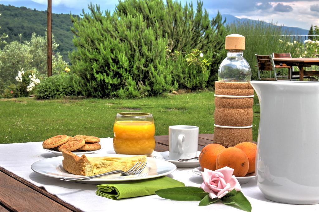 Agriturismo Casavecchia Figline Valdarno Dış mekan fotoğraf